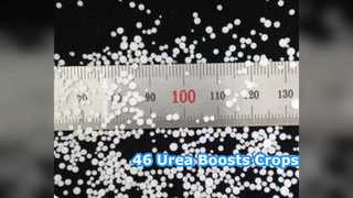 Boost Crops: 46% Urea Fertilizer For Farmers