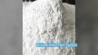 BLR 895 TiO2 White Pigment for Paint