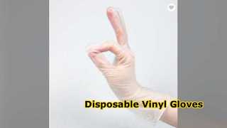 Disposable Vinyl Gloves Blue Black Clear S M L XL