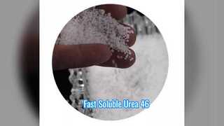 Prilled Urea Fertilizer 46% Fast Soluble
