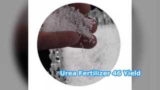 Urea Fertilizer 46% Min Boost Crop Yield