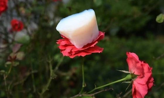 SiO2 Hydrophobic Aerogel Powder CAS 7631-86-9 Nanoporous
