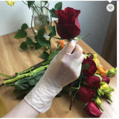 Food Processing PVC Vinyl Glove Clear Disposable Vinyl Inspection Glovees